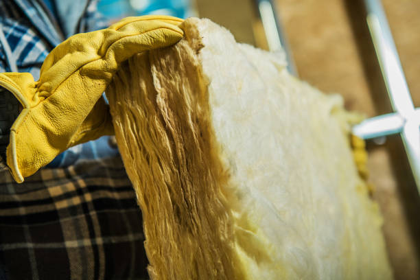 Best Insulation Removal  in Wildwood, NJ