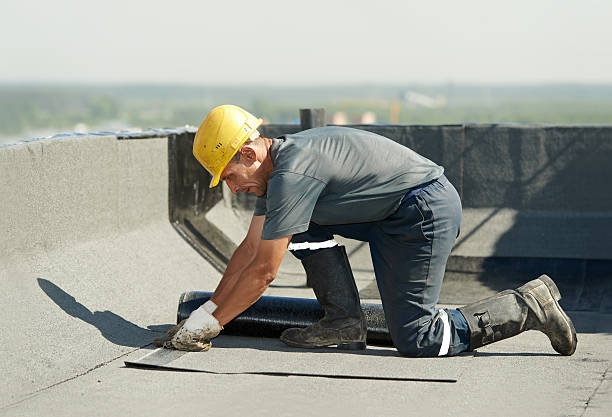 Best Professional Insulation Contractor  in Wildwood, NJ