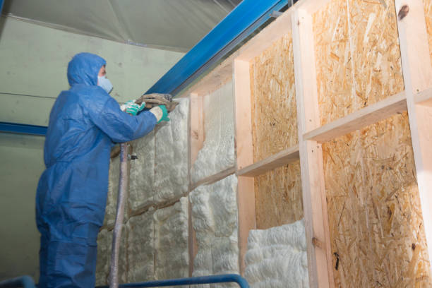 Best Blown-in Insulation  in Wildwood, NJ